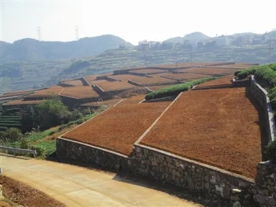 土地整理 土地整理